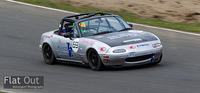 SLS11095