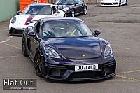 SL311176